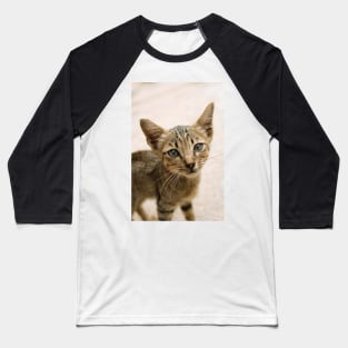 Tabby Kitten Baseball T-Shirt